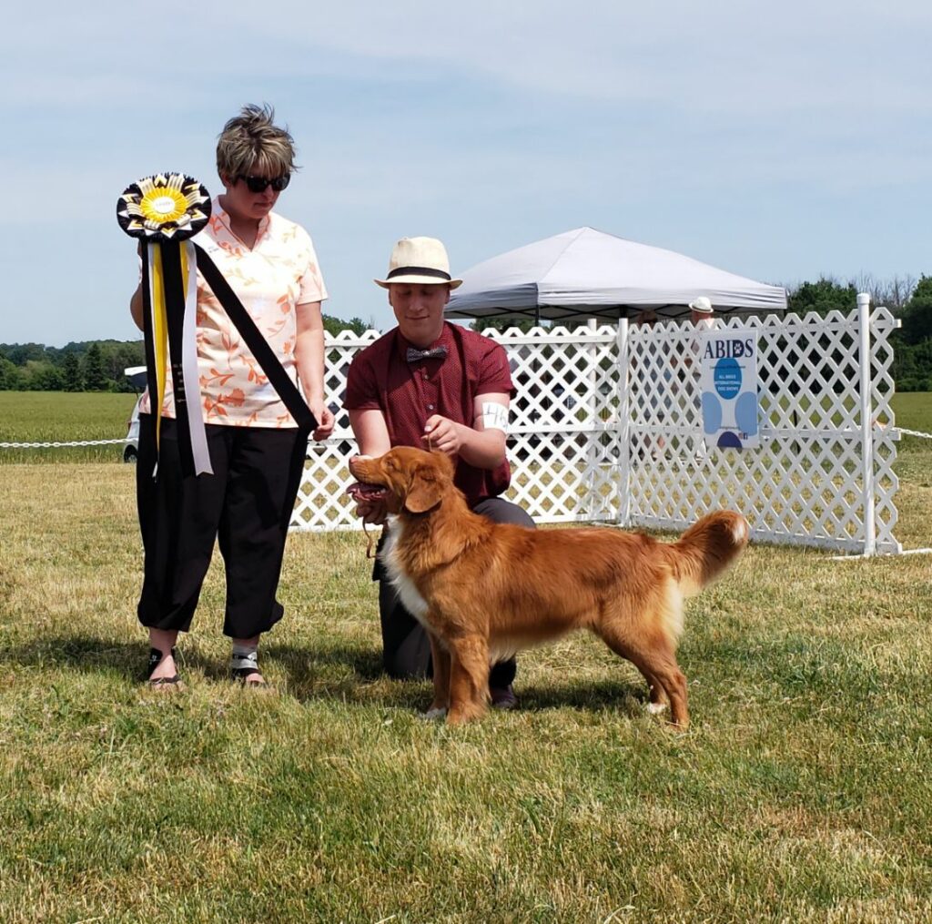 True Patriot Tollers 2